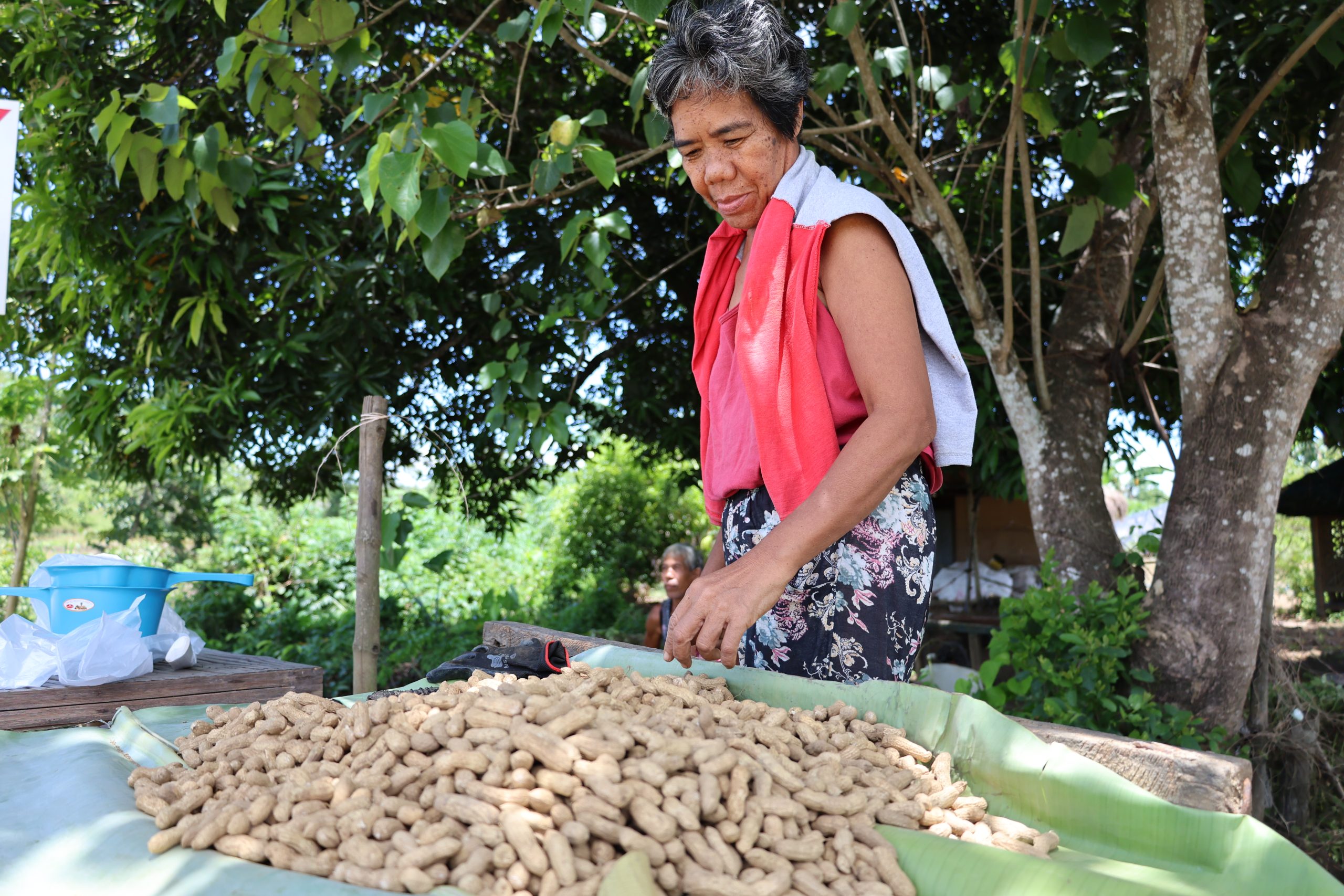 AGRI Party-list Advocates for Full Protection of Agriculture Budget in 2025